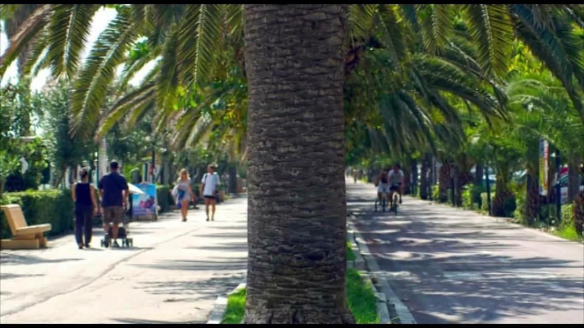 Hotel Joli Alba Adriatica Dış mekan fotoğraf